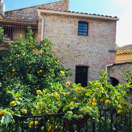 La Vieille Demeure Hotel Torreilles Eksteriør billede