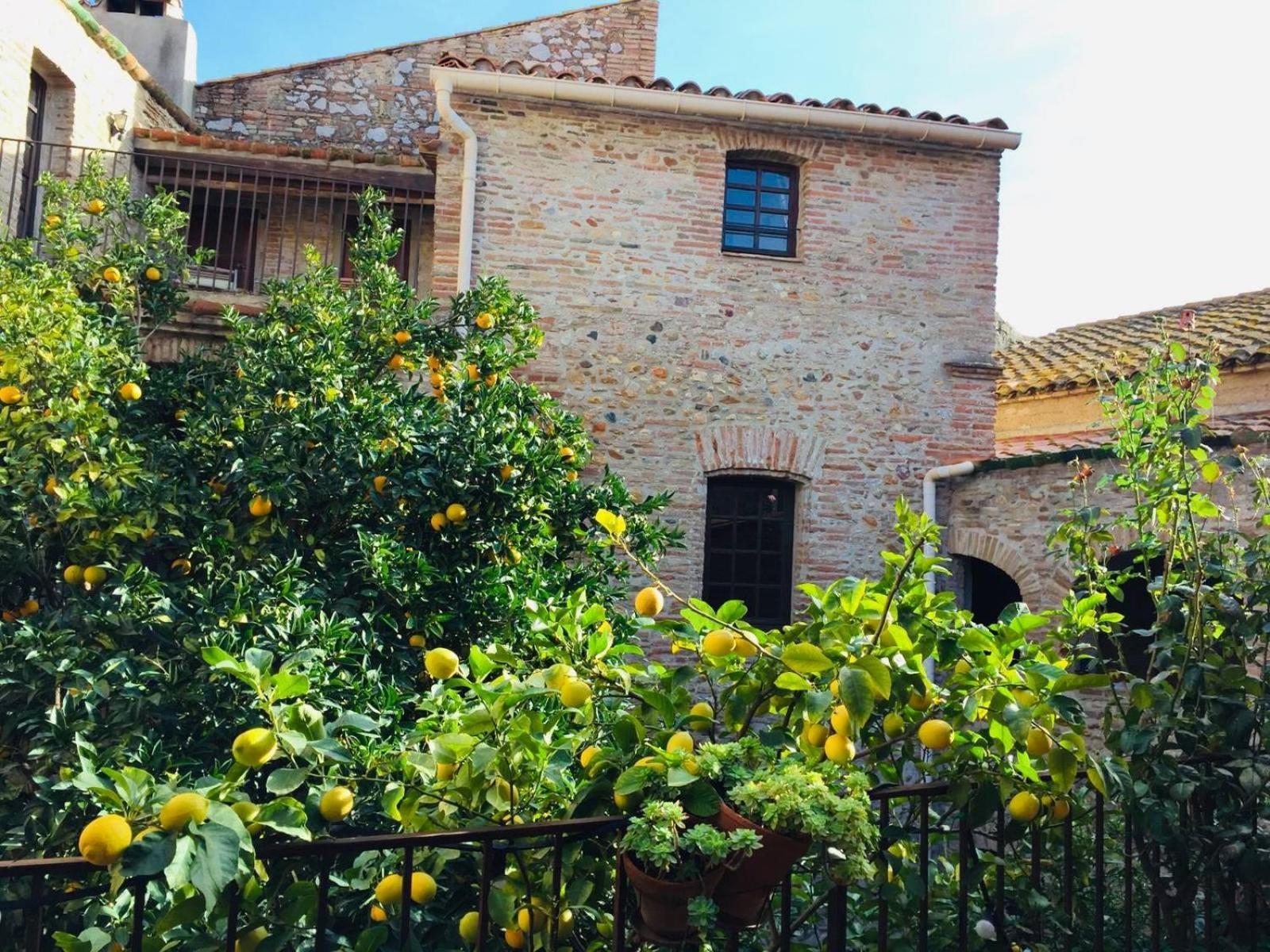 La Vieille Demeure Hotel Torreilles Eksteriør billede